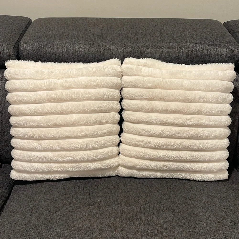 Set of 2 cream 16x16 throw pillows